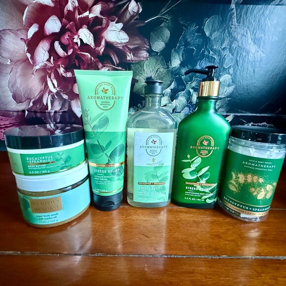 NEW 6-Pc EUCALYPTUS SPEARMINT Bath & Body Works Bundle - Picture 1 of 2